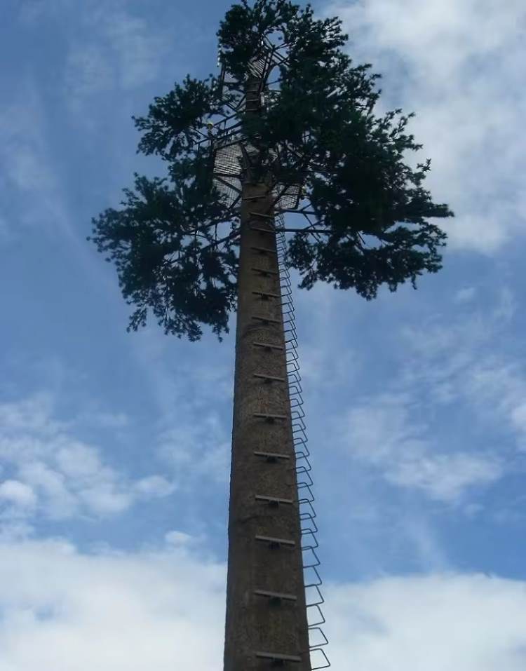 Bionic Banyan Tree Wifi Cell Mast
