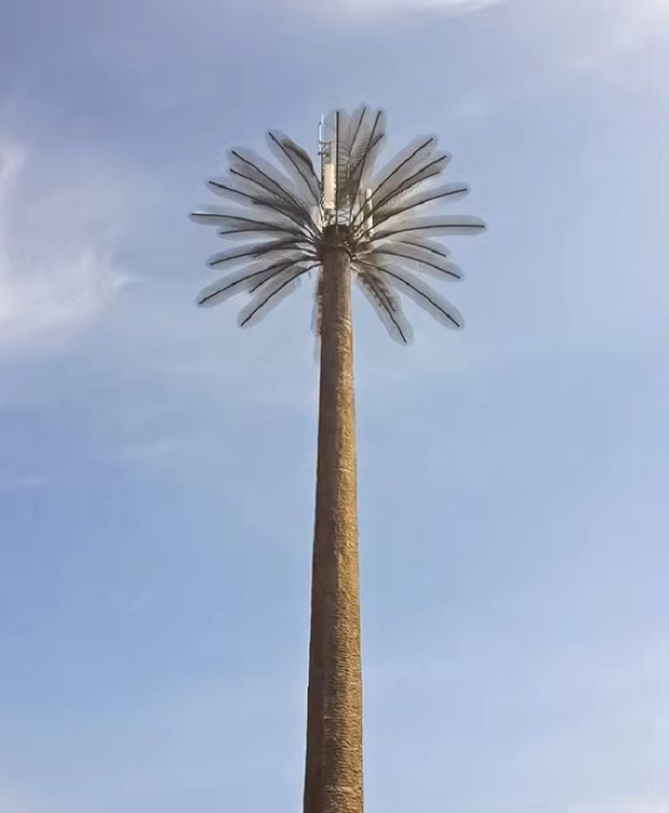 Wifi Interet Monopoles