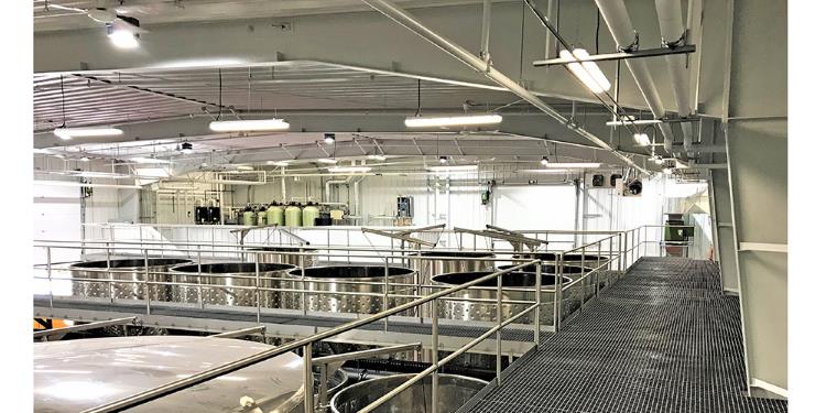 PEB Wine Production Building with Exposed Steel Canopy:Steel Building Wimery barn interior