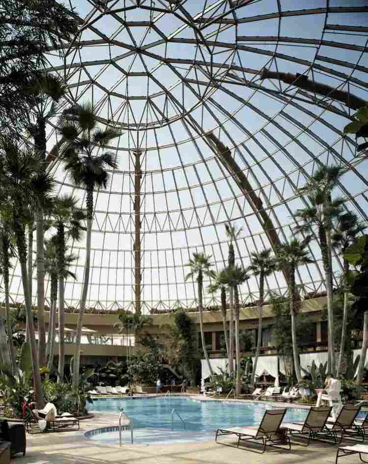 Atriums Single Layer Dome with Lightweight Trussing Structure | Architecturally Exposed Steel 