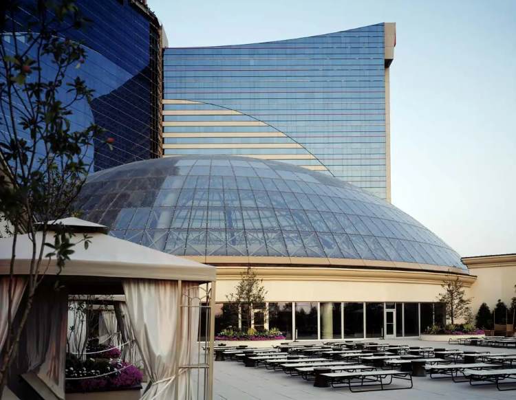 Atriums Single Layer Dome with Lightweight Trussing Structure | Architecturally Exposed Steel 