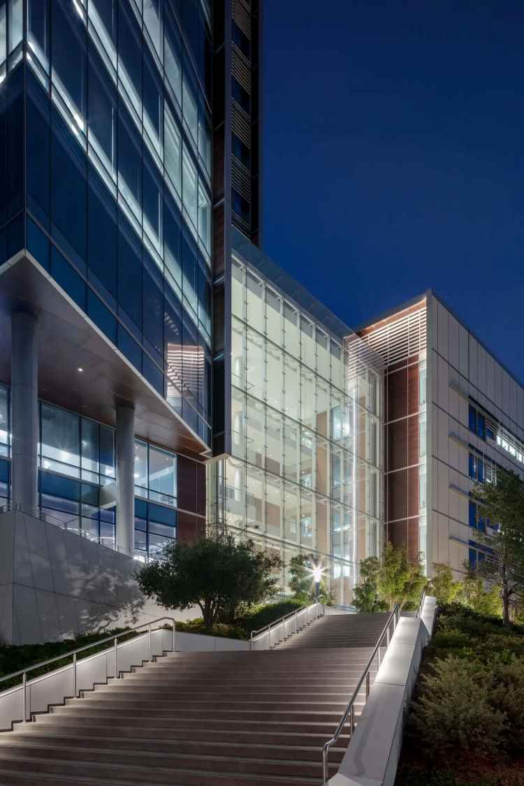 Glass and Steel Atrium Walls with Steel Bow Trusses | Architecturally Exposed Steel