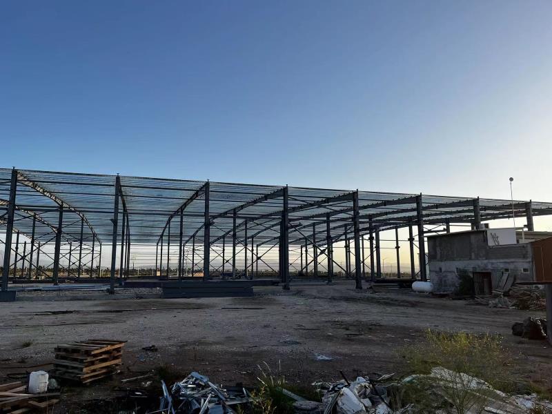 400 Tons Prefabricated Steel Structure Workshop in Mexico: 3D BIM Model In Tekla Steel Structure: Erection of Longitudinal Walls 
